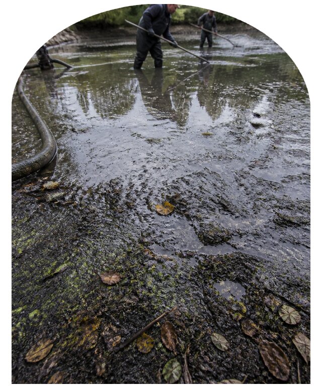 Очистка пруда в Майкопе от ила мусора и водорослей с вывозом